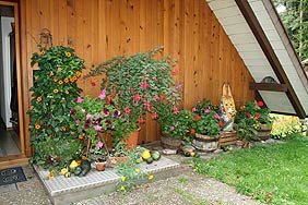 Der Ferienbauernhof Weisser in Tennenbronn im Schwarzwald