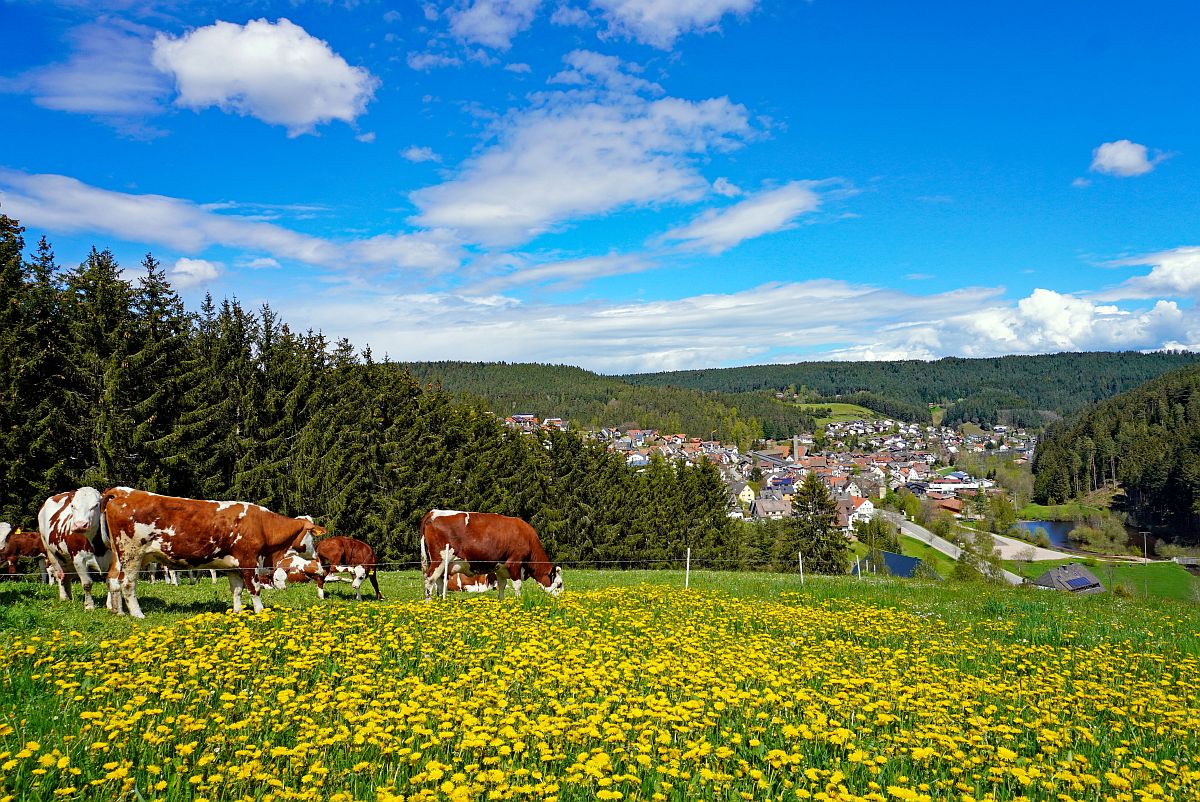 Aktiv auf dem Bauernhof Weisser 2