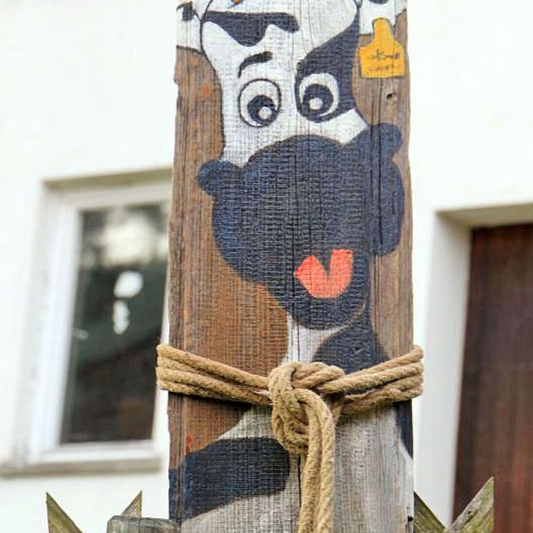 Ferienwohnung Bauernhof weisser Tennenbronn 04