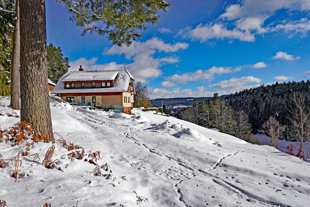 Winter auf dem Bauernhof Weisser